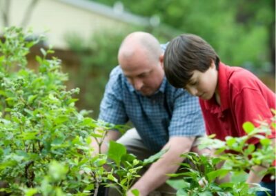 Cursus Moestuinieren voor beginners